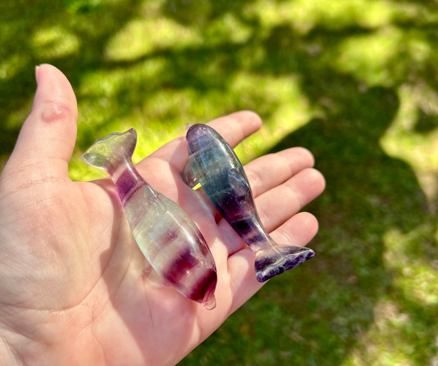 Fluorite Dolphin