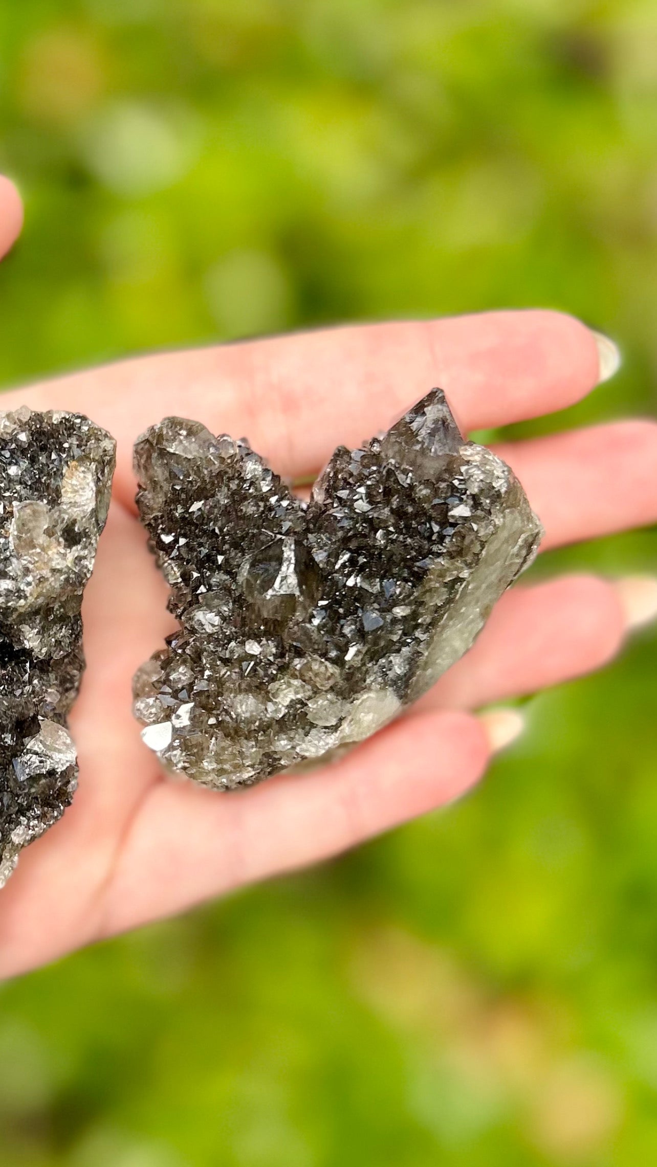 Black Spirit Quartz Specimen