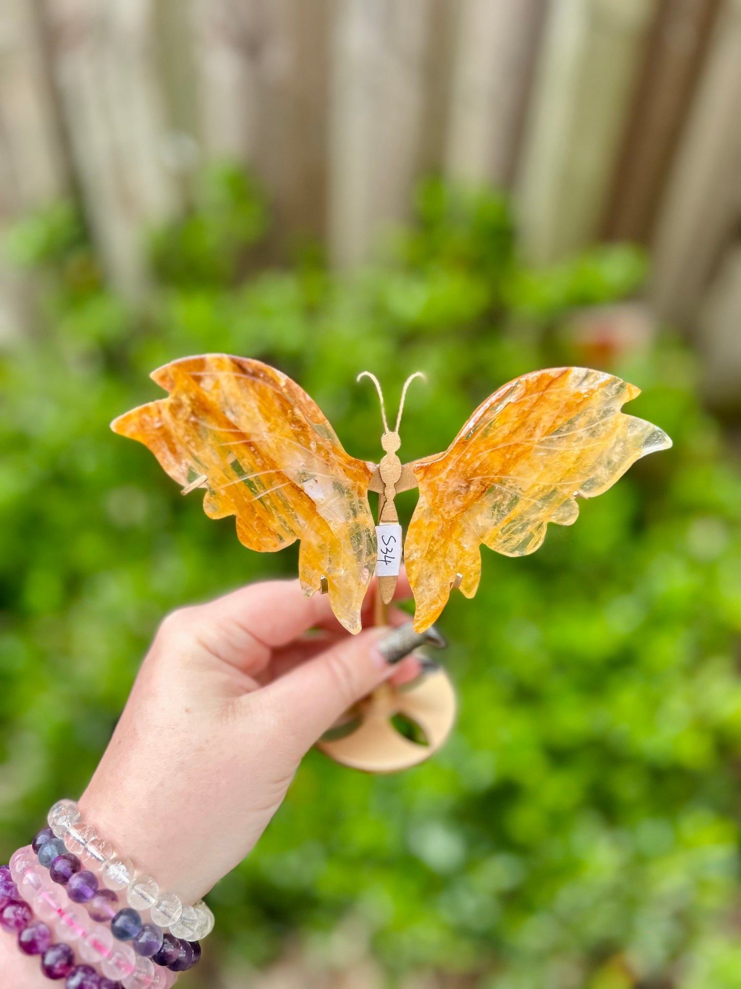 Golden Healer Butterfly Wings