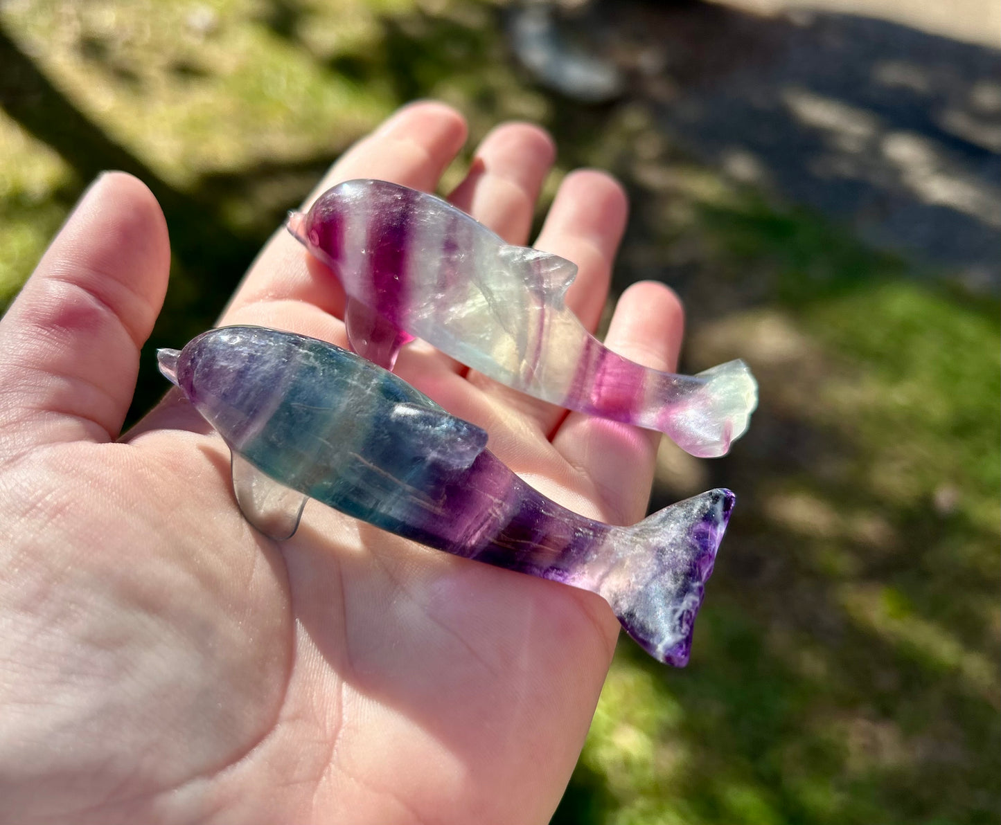 Fluorite Dolphin