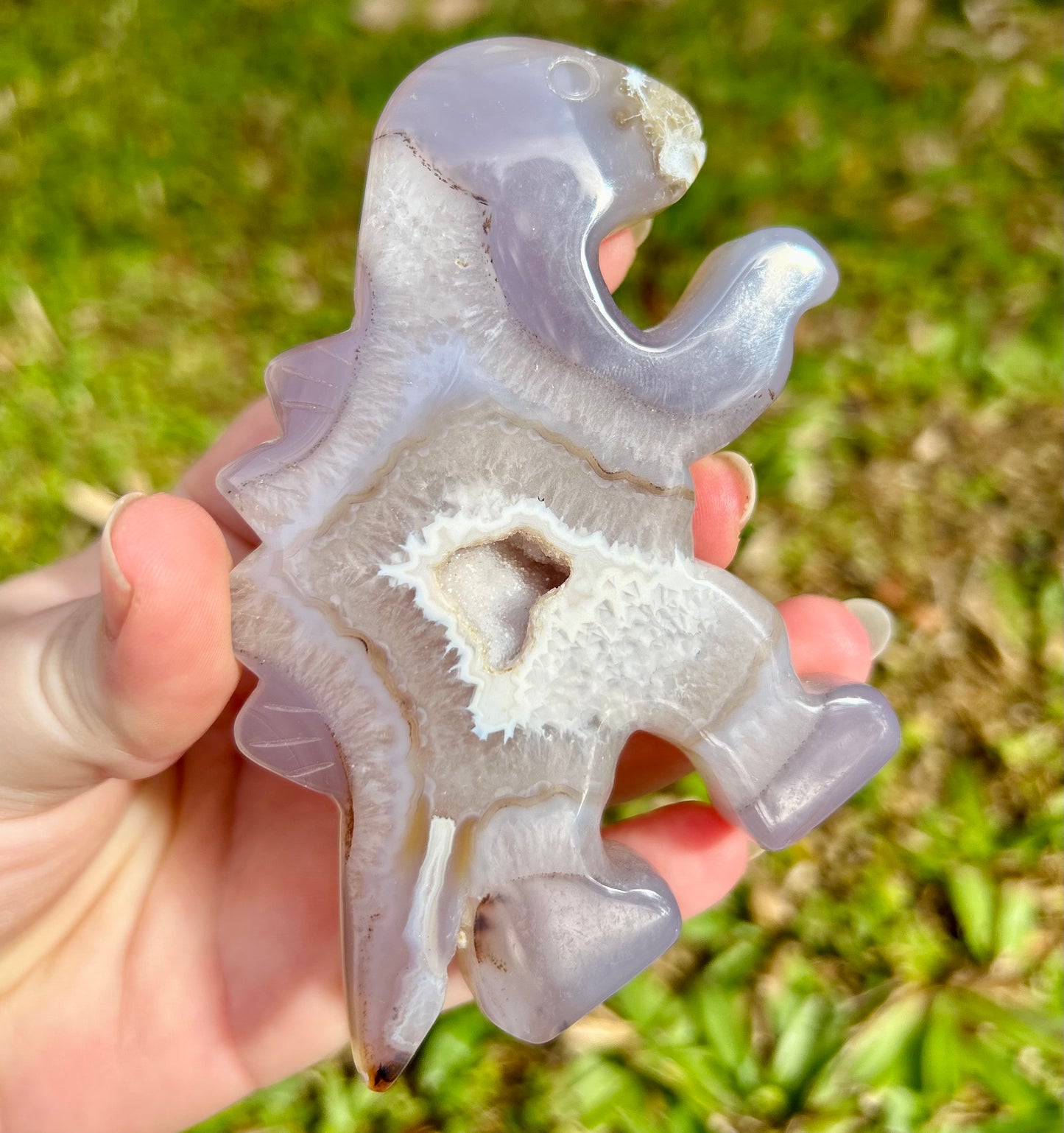 Agate Druzy Dinosaur Carving