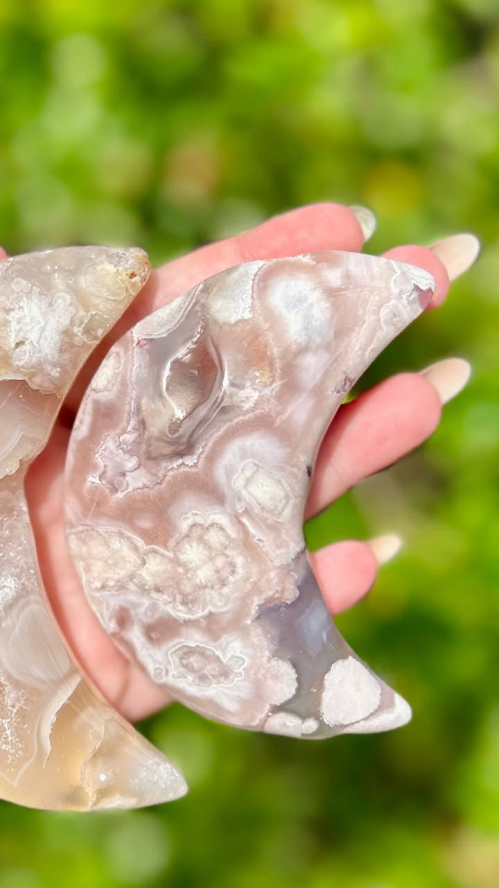 Flower Agate Moons